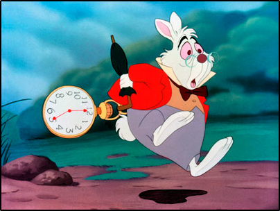 Rabbit